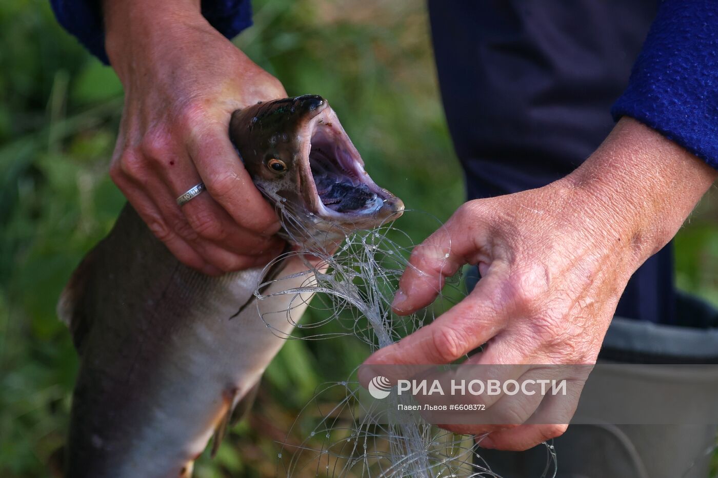 Рыбалка на реке Умба