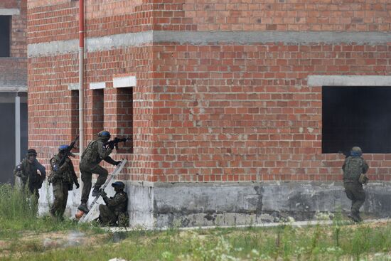 Совместные учения стран НАТО и Украины "Три меча-2021"