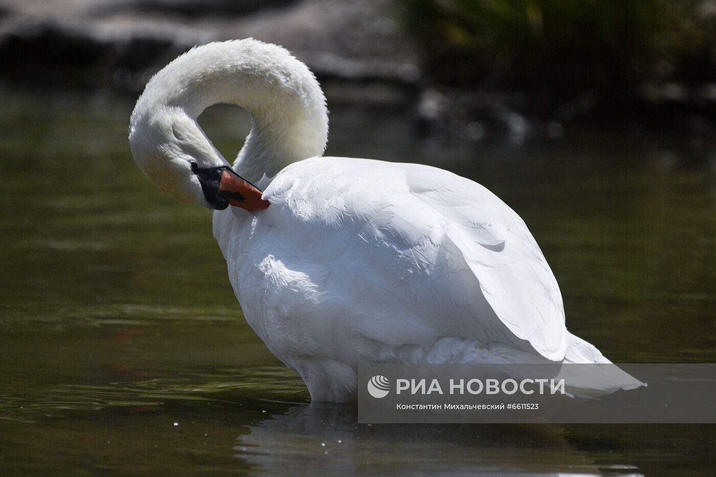 Отдых горожан в парке им. Гагарина в Симферополе