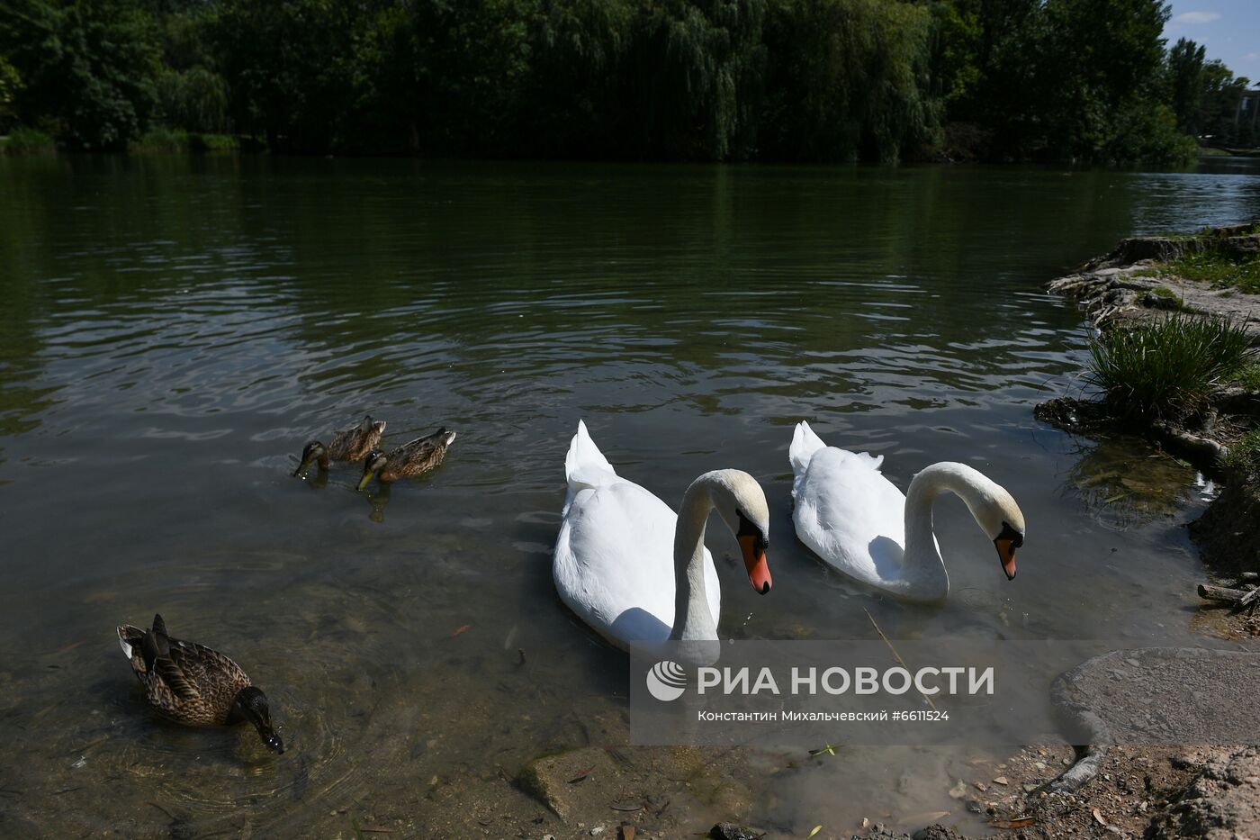 Отдых горожан в парке им. Гагарина в Симферополе
