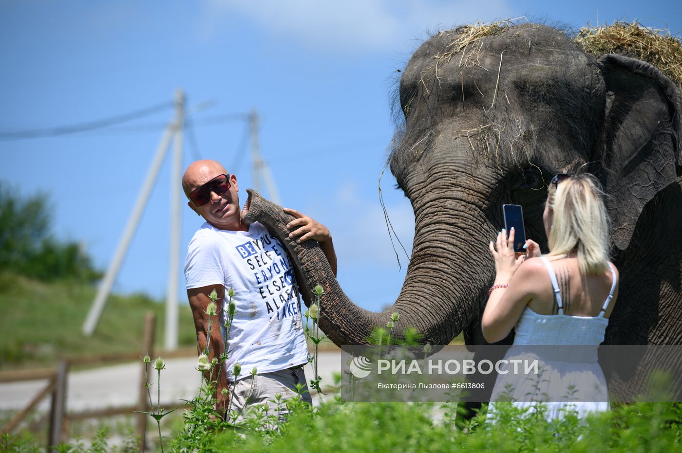 Парк-санаторий для отдыха цирковых слонов открылся в Сочи