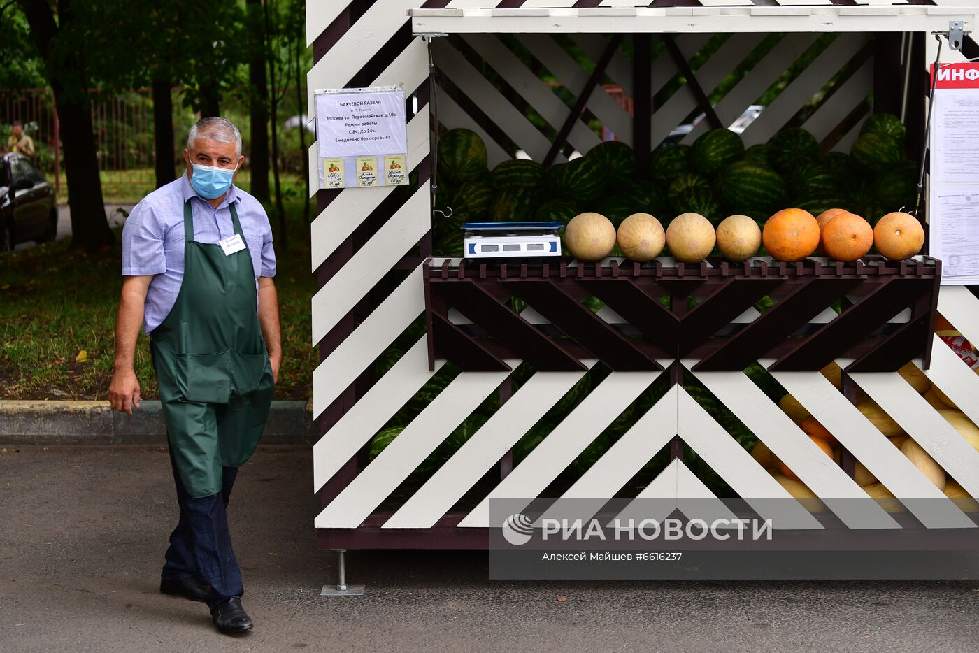 Бахчевые развалы в Москве