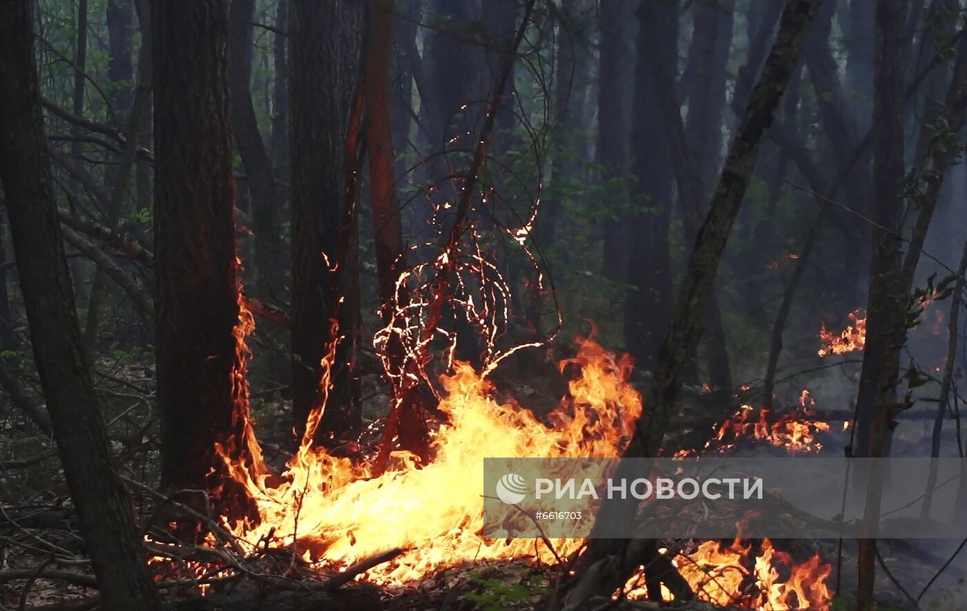 Тушение лесных пожаров в Якутии