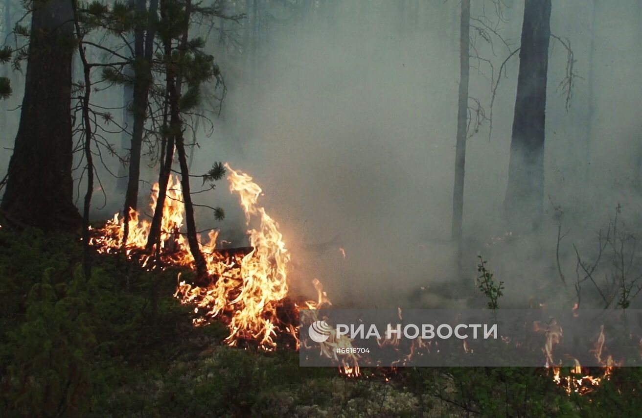 Тушение лесных пожаров в Якутии