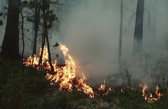 Тушение лесных пожаров в Якутии