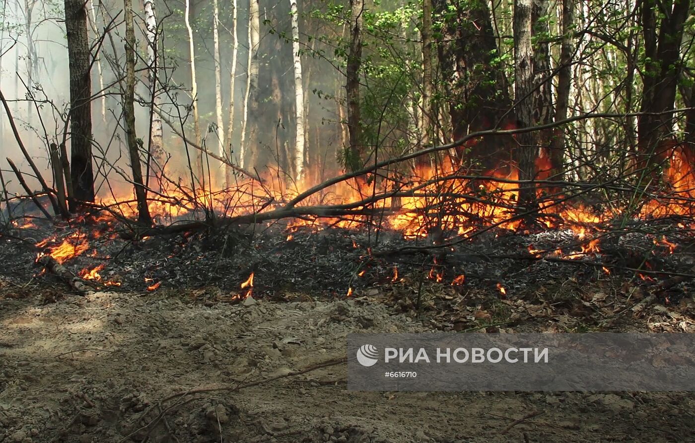 Тушение лесных пожаров в Якутии