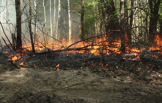 Тушение лесных пожаров в Якутии