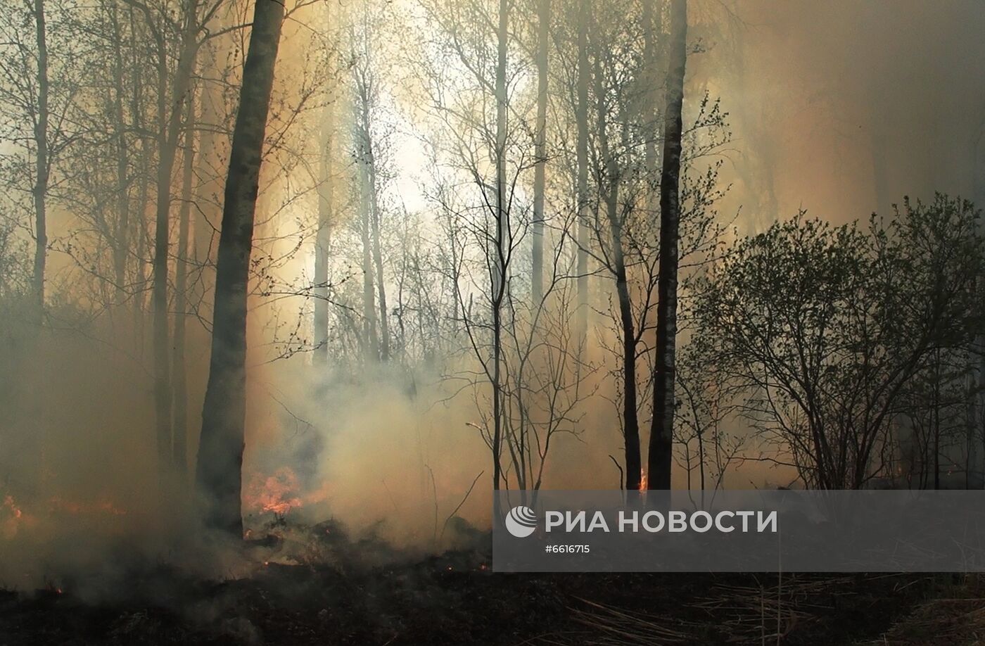 Тушение лесных пожаров в Якутии