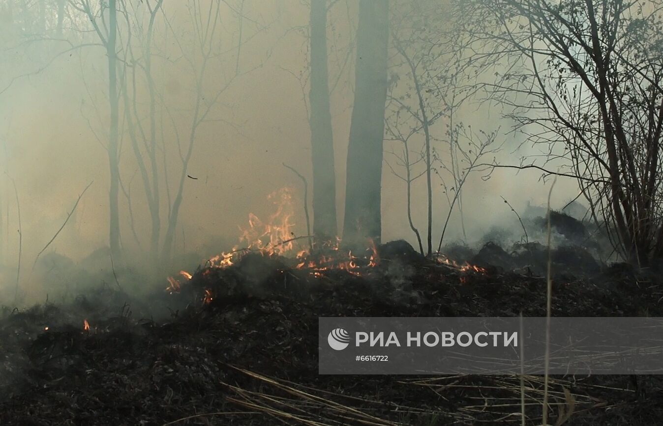 Тушение лесных пожаров в Якутии