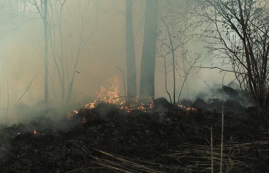 Тушение лесных пожаров в Якутии