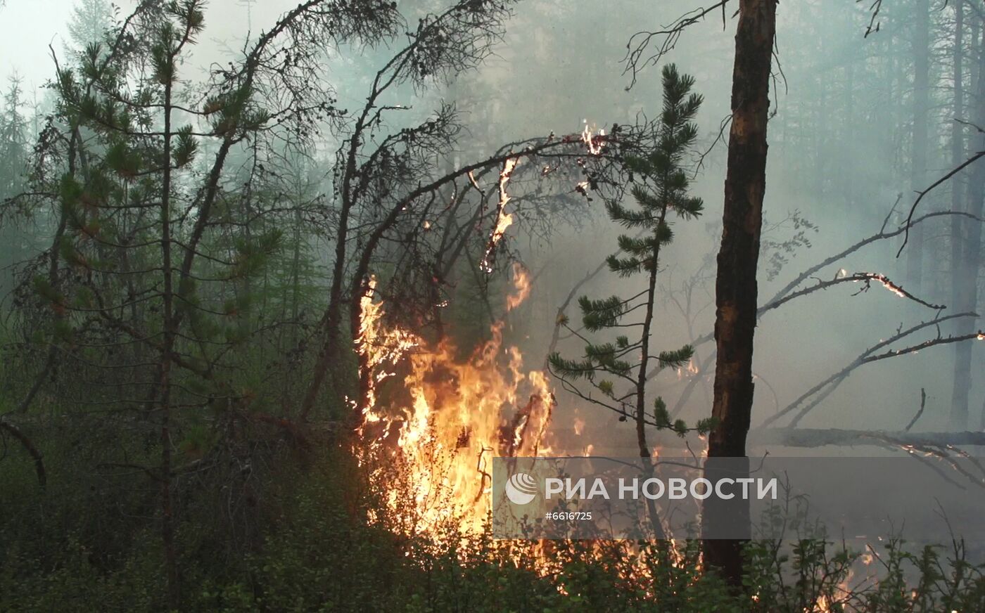 Тушение лесных пожаров в Якутии