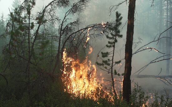 Тушение лесных пожаров в Якутии