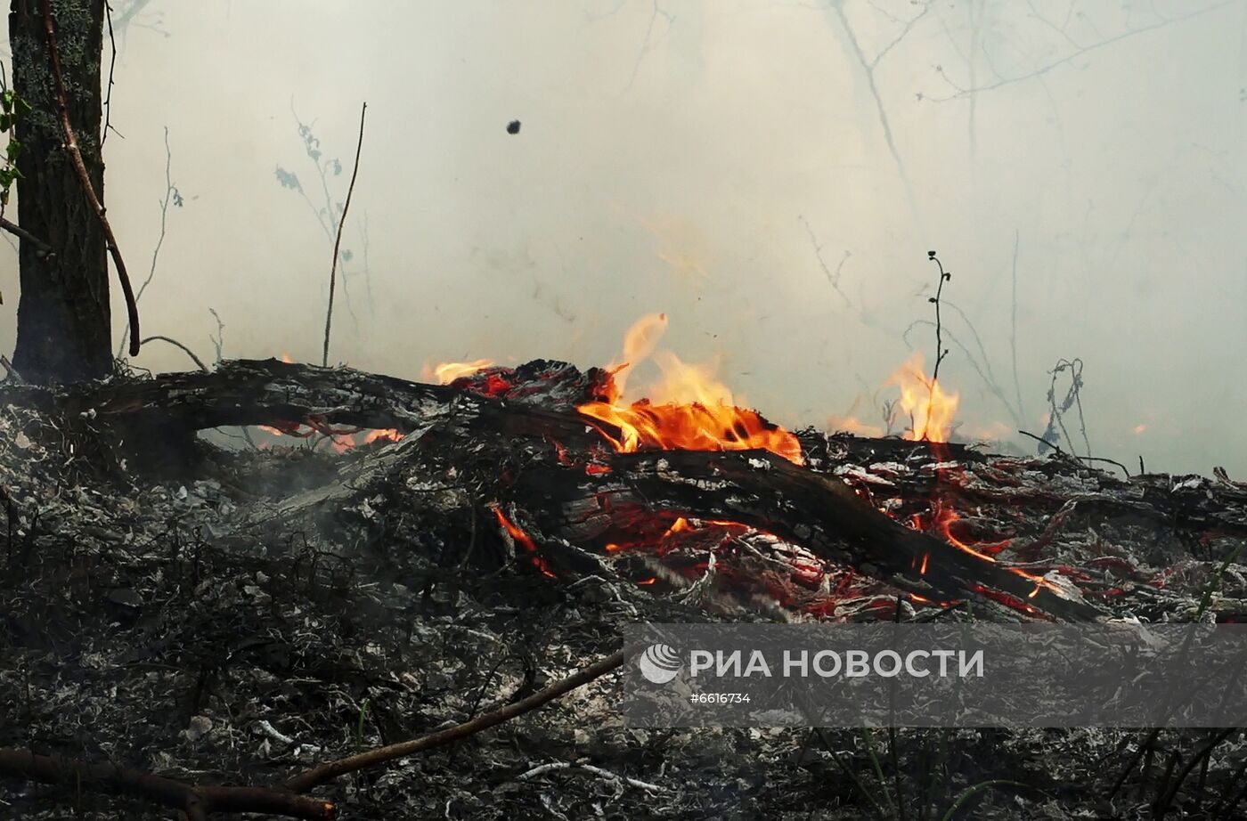 Тушение лесных пожаров в Якутии