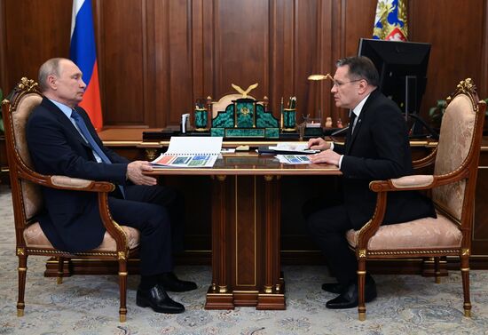 Президент РФ В. Путин встретился с руководителем ГК "Росатом" А. Лихачевым