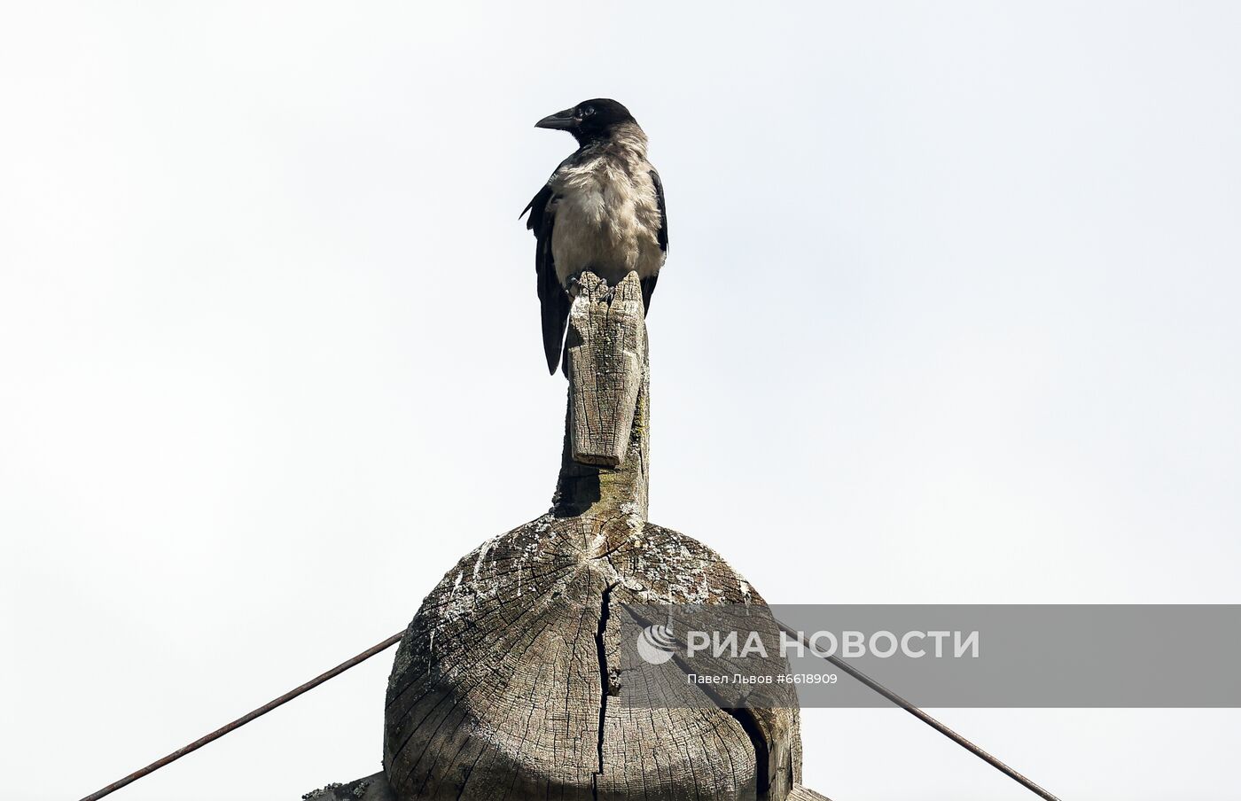 Музей деревянного зодчества "Малые Корелы" в Архангельске