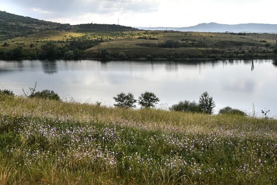 Водохранилища Крыма пополнились водой