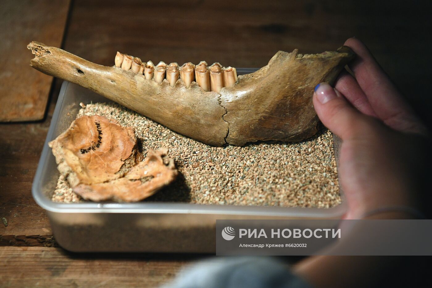 Археологический памятник "Денисова пещера" в Алтайском крае