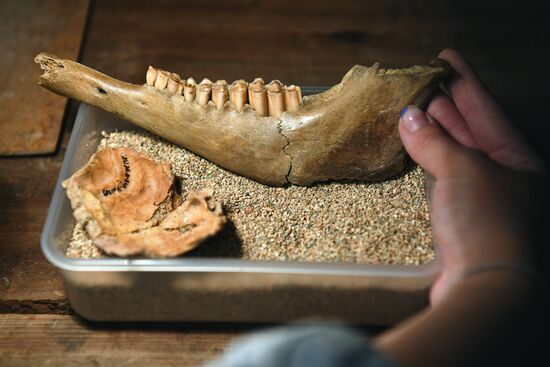 Археологический памятник "Денисова пещера" в Алтайском крае