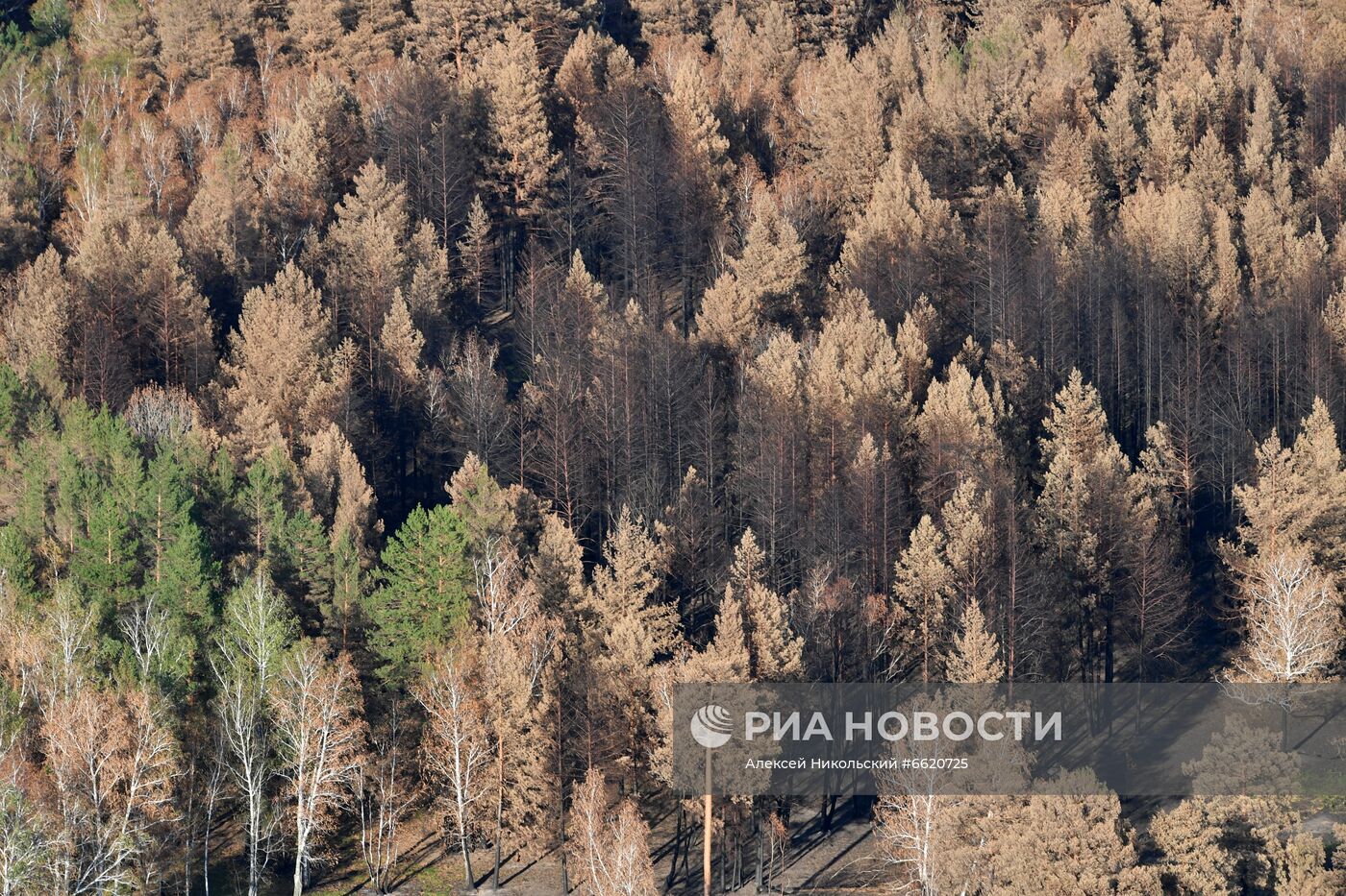 Рабочая поездка президента В. Путина в Челябинскую область и Республику Башкортостан