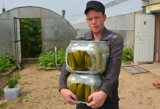 Консервация овощей в колонии в Забайкальском крае