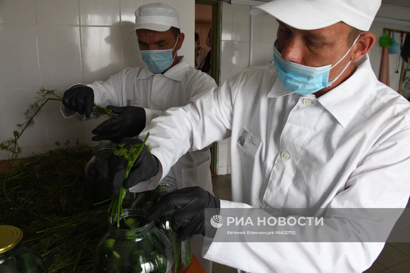 Консервация овощей в колонии в Забайкальском крае