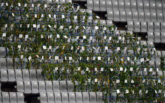 Олимпиада-2020. Современное пятиборье. Мужчины