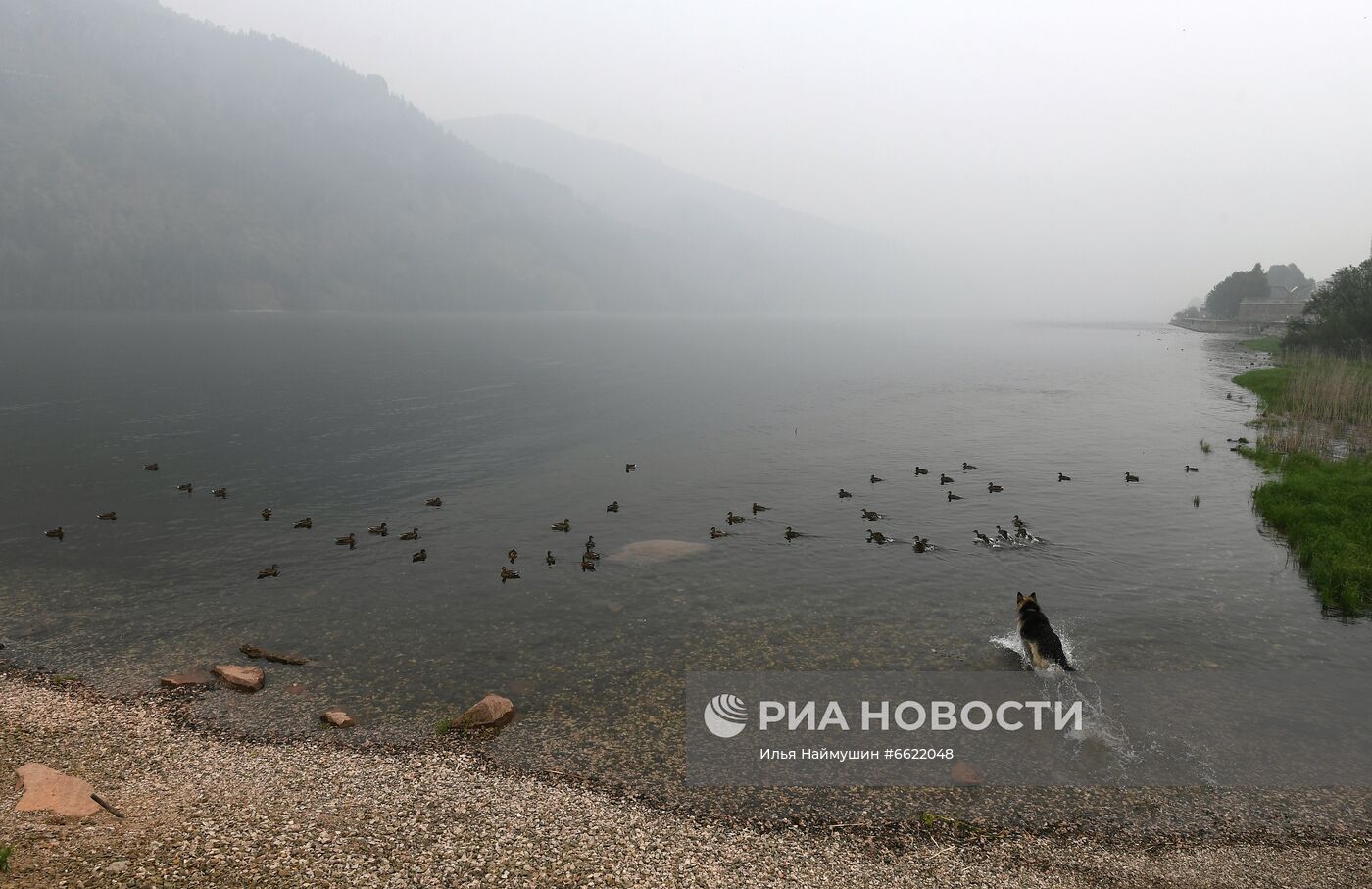 Дым в Красноярске от лесных пожаров в Якутии