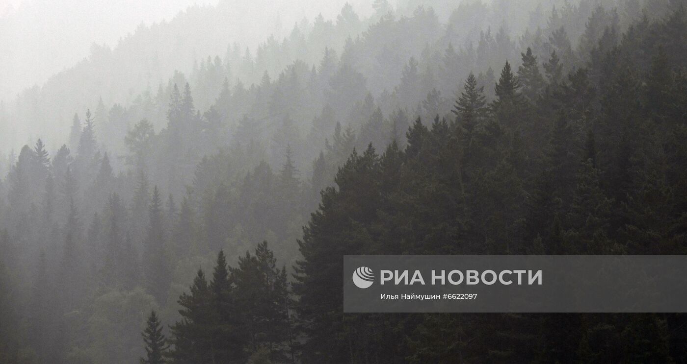Дым в Красноярске от лесных пожаров в Якутии