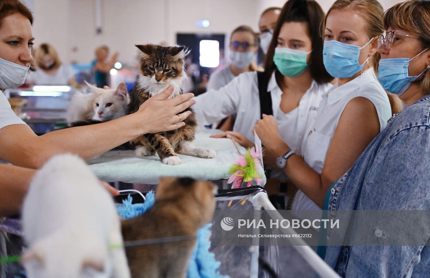 Выставка "КоШарики Шоу" в Москве