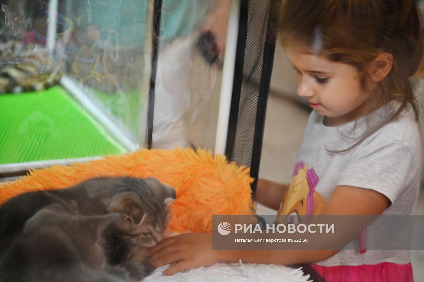 Выставка "КоШарики Шоу" в Москве