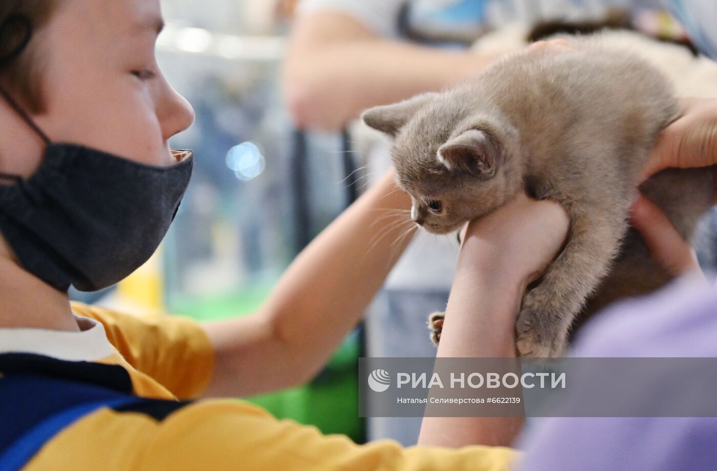 Выставка "КоШарики Шоу" в Москве