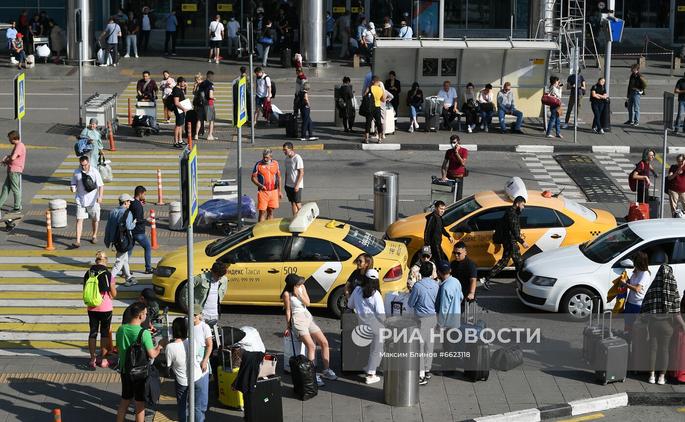 Возобновление рейсов в курортные города Египта 