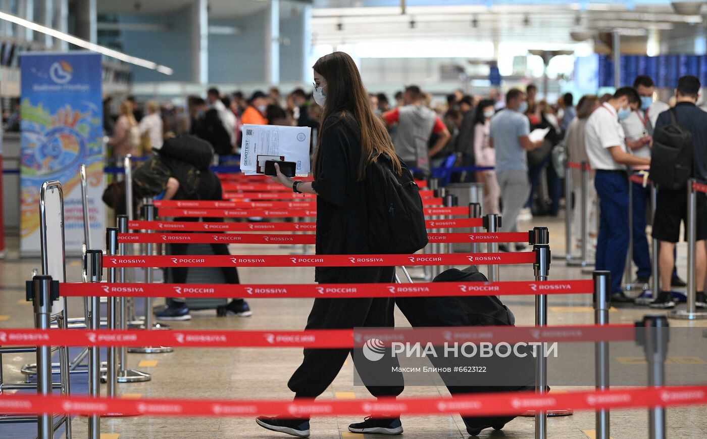 Возобновление рейсов в курортные города Египта 