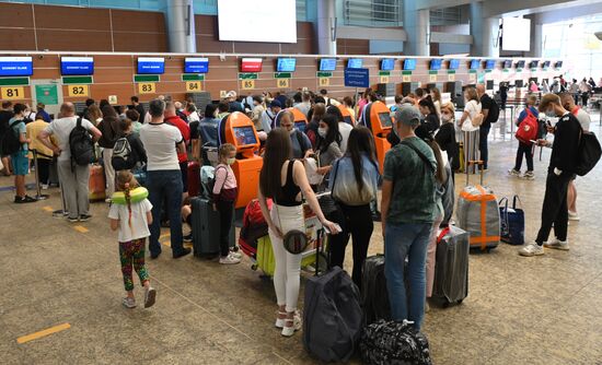 Возобновление рейсов в курортные города Египта 