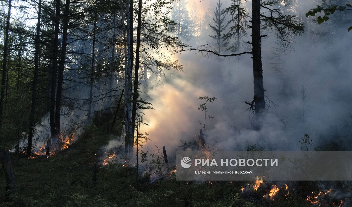 Тушение лесных пожаров в Якутии