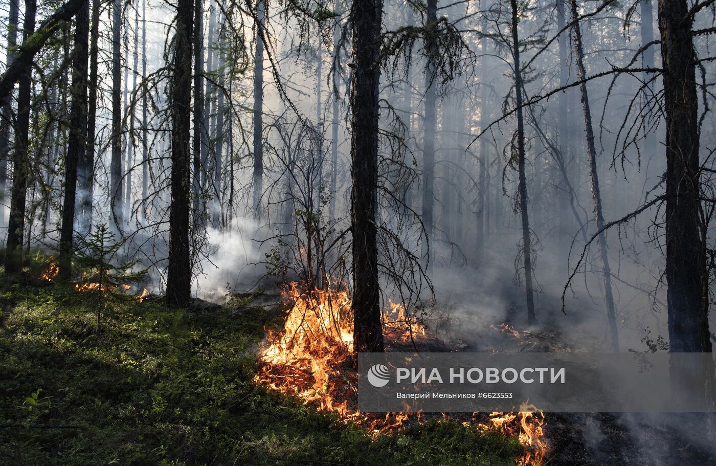 Тушение лесных пожаров в Якутии