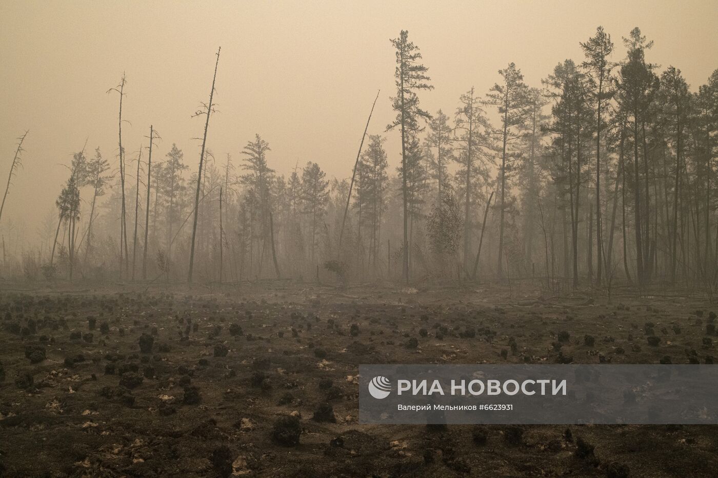 Тушение лесных пожаров в Якутии