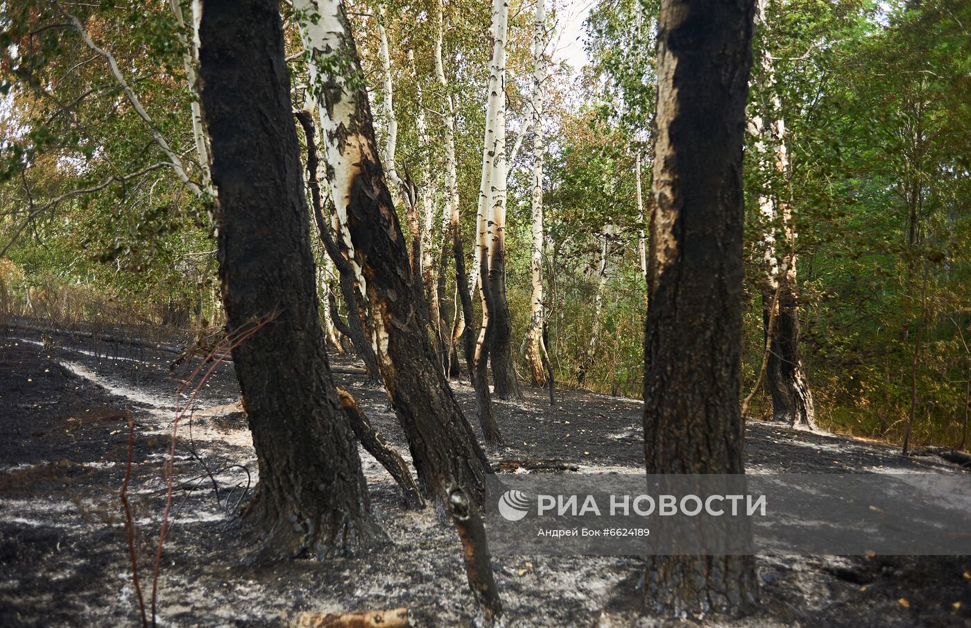 Тушение лесных пожаров в Башкирии