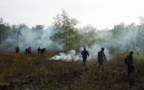 Тушение лесных пожаров в Башкирии