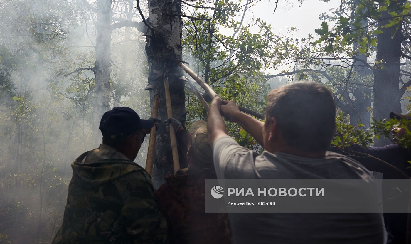 Тушение лесных пожаров в Башкирии