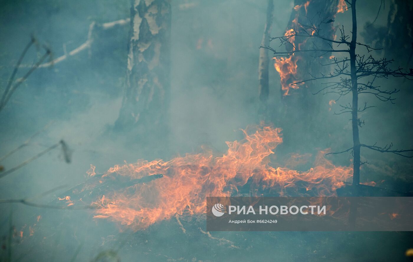 Тушение лесных пожаров в Башкирии