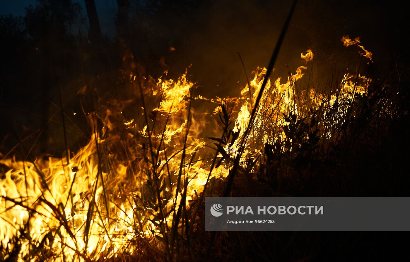 Тушение лесных пожаров в Башкирии