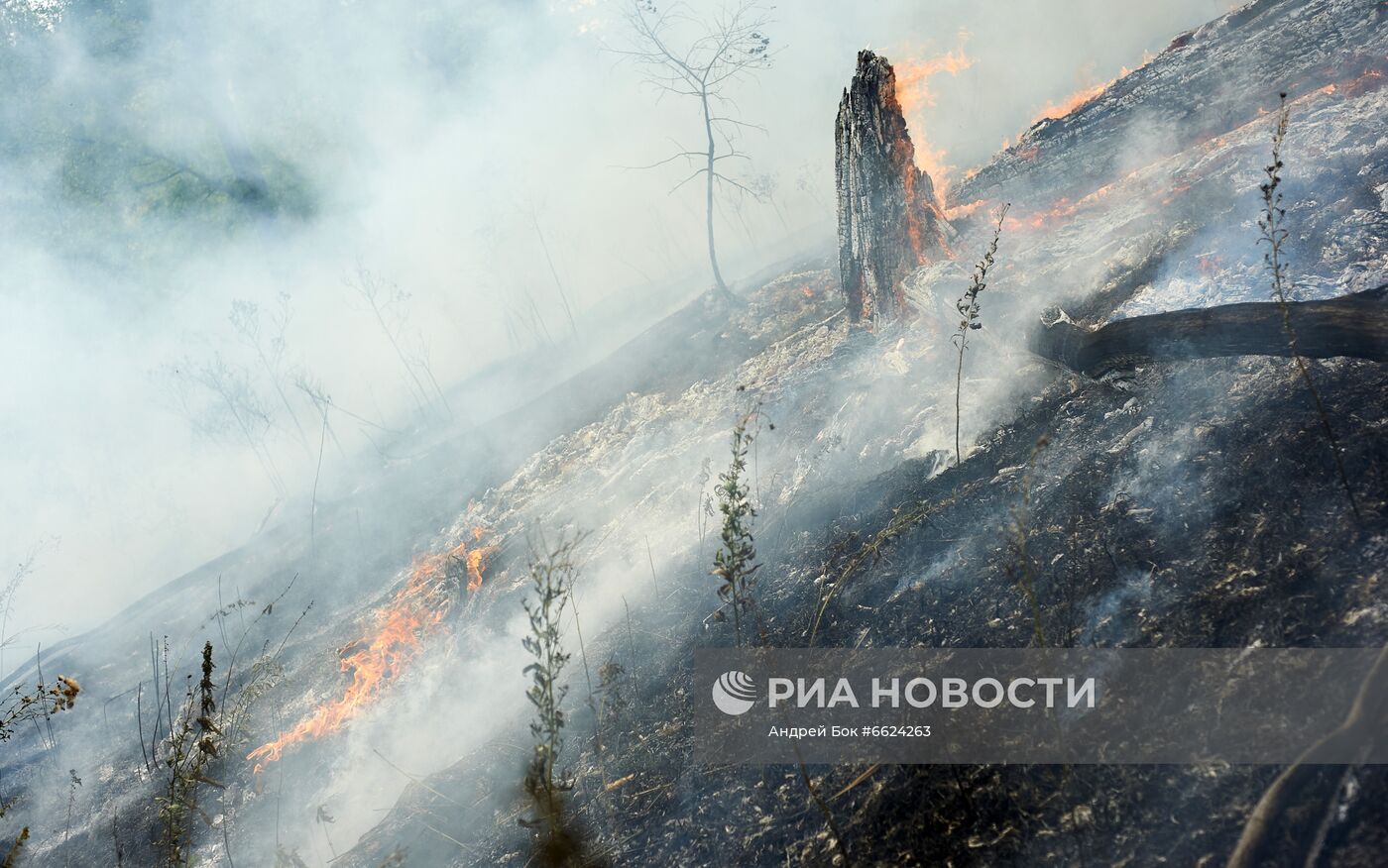 Тушение лесных пожаров в Башкирии