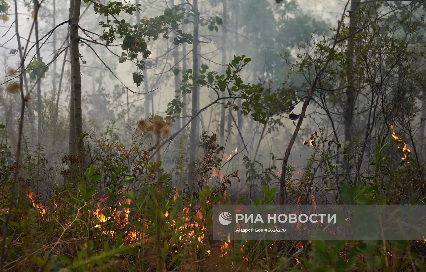 Тушение лесных пожаров в Башкирии