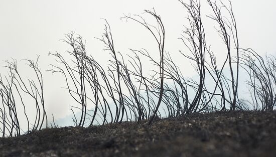 Тушение лесных пожаров в Башкирии