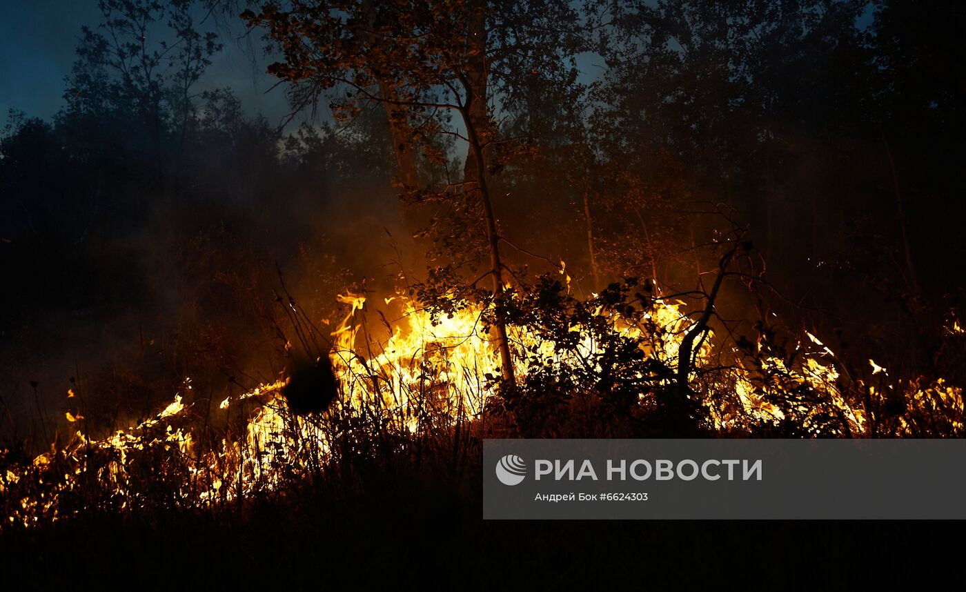 Тушение лесных пожаров в Башкирии