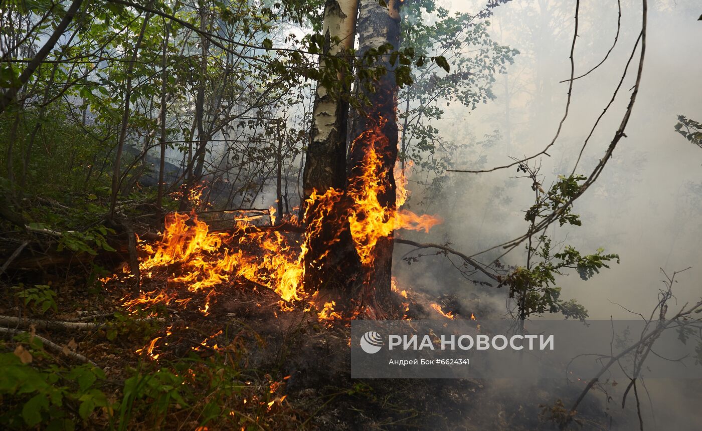 Тушение лесных пожаров в Башкирии