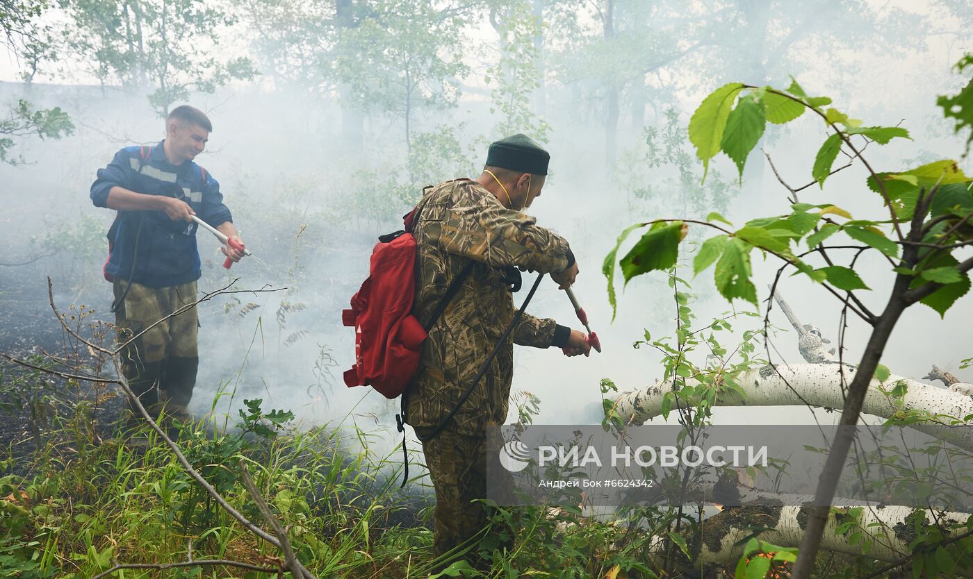 Тушение лесных пожаров в Башкирии