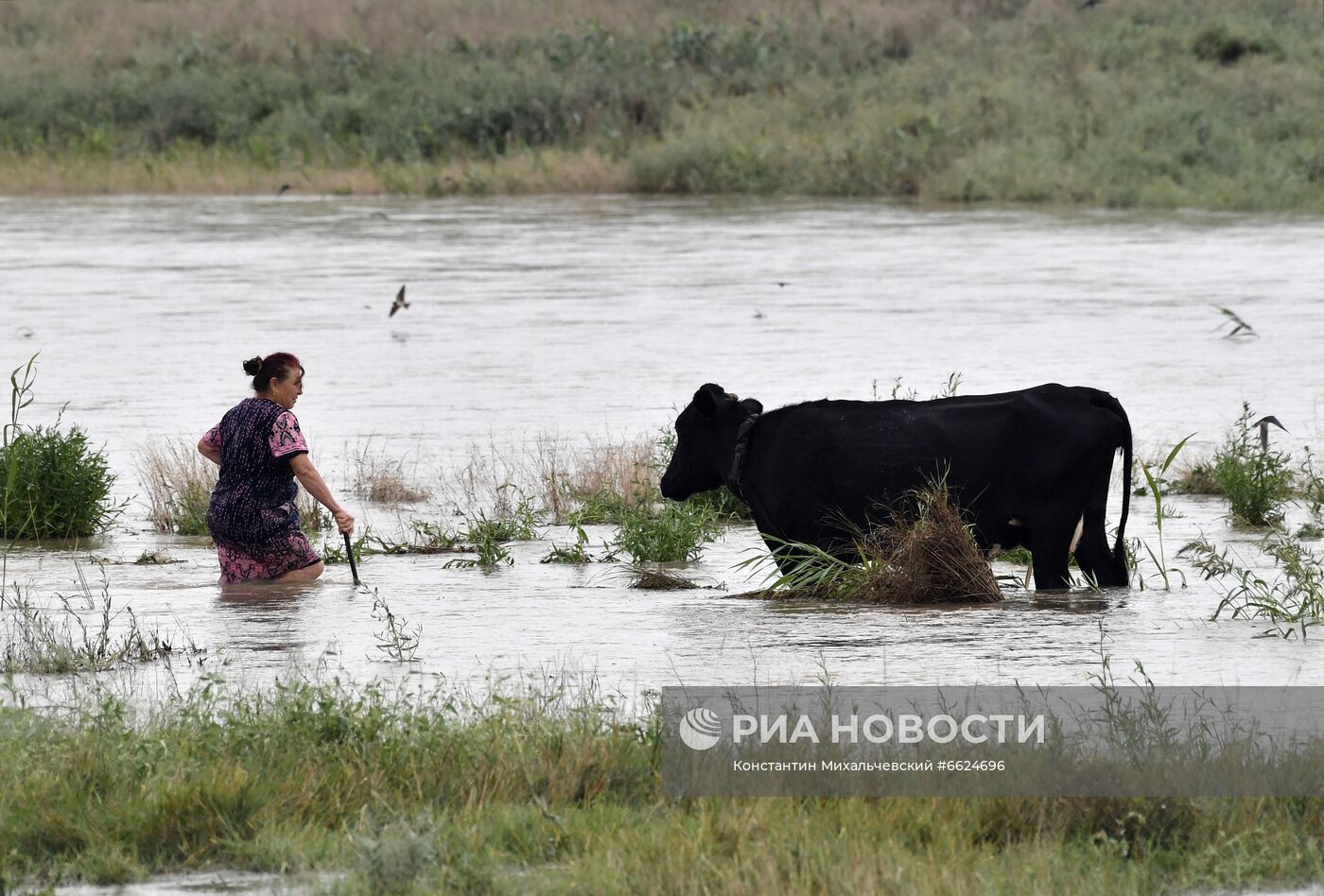 Фото недели