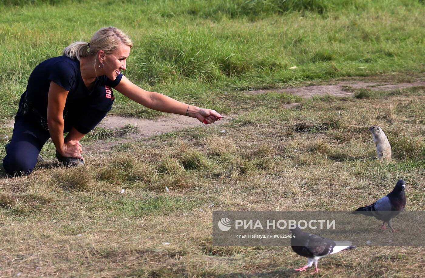 Суслики на острове Татышев в Красноярске